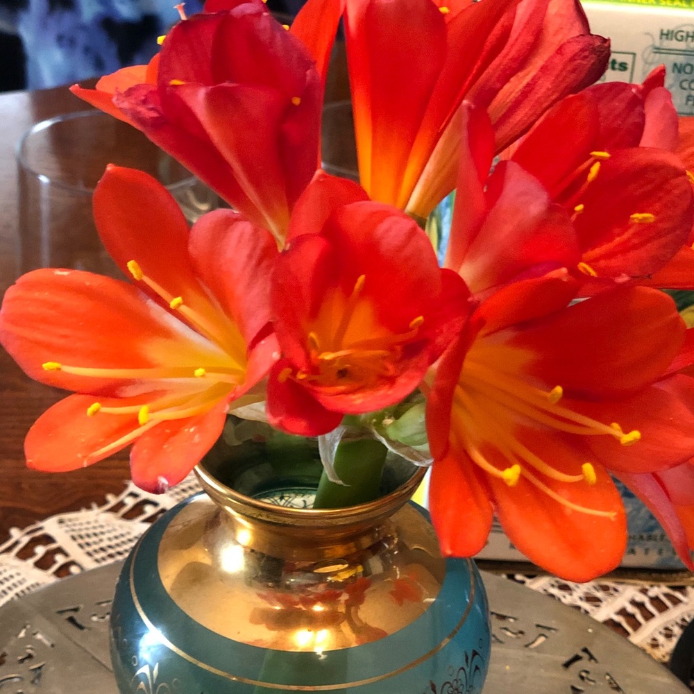 Meet your Posher, Taraneh